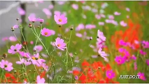 Ass Fucking Story Sunny Just Do It Bangladeshi Gay In Hindi Porn XHamster