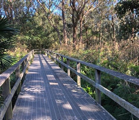 Narrabeen Lagoon Trail (Hiking Around a Beautiful Lake)