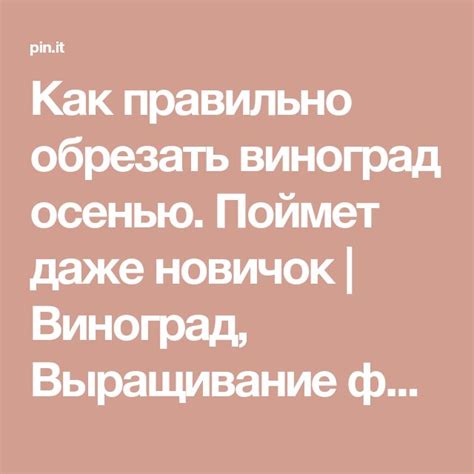 Как правильно обрезать виноград осенью. Поймет даже новичок | Виноград ...