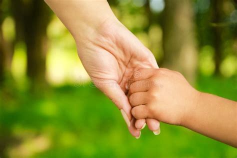 Les Mains De Parents Heureux Et D Enfants En Plein Air Dans Le Parc