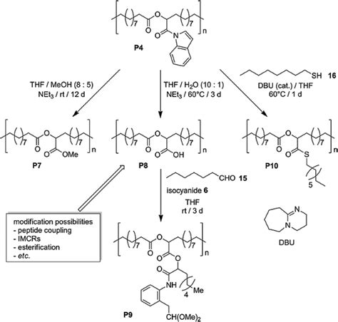 Functional Precision Polymers Via Admet Polymerization Springerlink