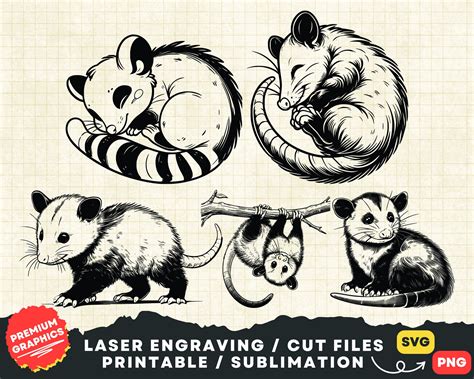 Possum Svg Bundle Opossum Svg Clipart Opossum Png Print Opossum Head