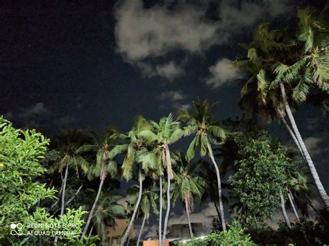 Redmi Note 8 Pro Camera Samples