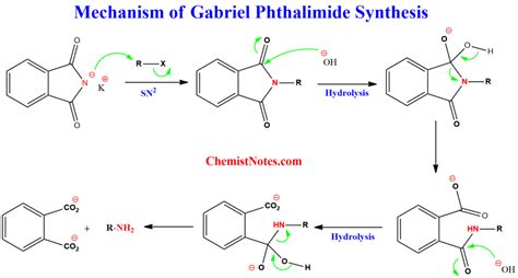 Gabriel synthesis: Easy mechanism, procedure, applications - Chemistry ...