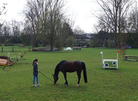 Reit Und Fahrverein Mertingen Ferienland Donauries