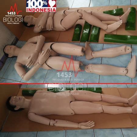 Jual Alat Peraga Torso Manekin Model Jenazah Mayat Pria Wanita Fiber