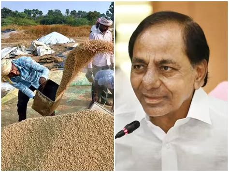 Telangana Government To Open 7000 Paddy Procurement Centres