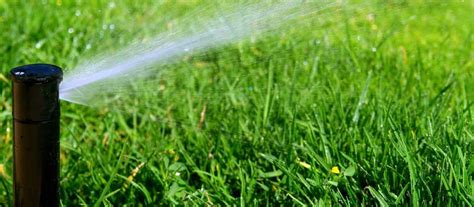 Sprinkling And Watering Tips For Keeping Your Lawn Green Cwg Landscape