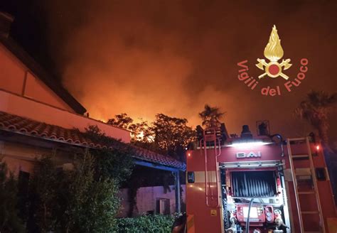 Incendio Nella Notte Nel Vibonese In Fiamme Oltre Ettari Di Macchia