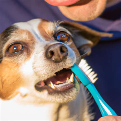 Dog Dental Care: Why It's Crucial For Your Furry Friend's Health