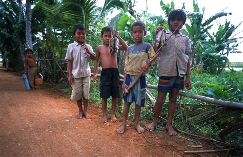 La FAO Sefforce De Lutter Contre Le Travail Des Enfants Au Cambodge