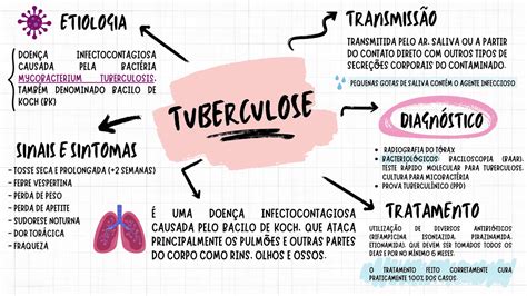 Mapa Mental Tuberculose Esquemas Bacteriologia Docsity