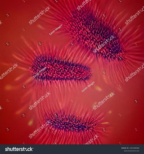 Microscopic Bacteria Legionella Pneumophila Illustration Stock Photo