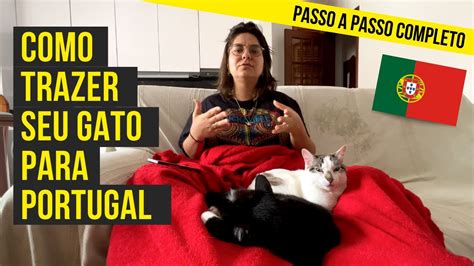 Como Levar Gato Para Portugal Passo A Passo Completo Pre Os Youtube