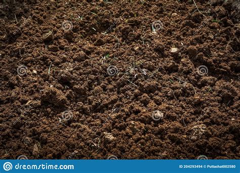 Textured Fertile Soil For Cultivation As Background The Potting Soil