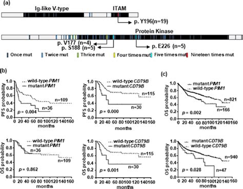 The Genetic Features Of Cd79b And Pim1 Mutations And Their Association Download Scientific