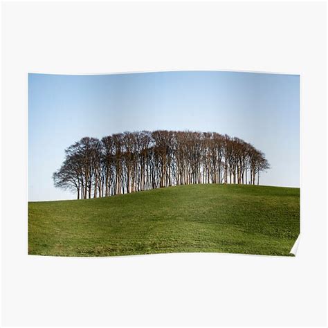 "Nearly Home Trees, Coming home trees, Cornwall trees Cookworthy Knapp ...