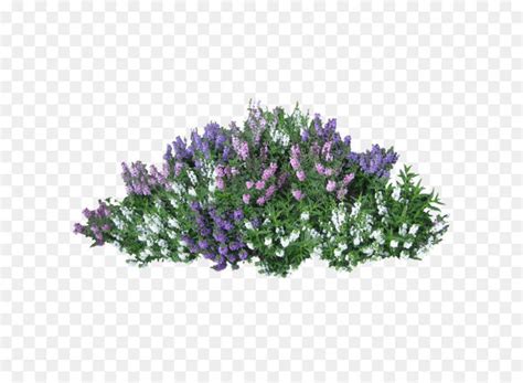 Free: Shrub Flower Rose Clip art - Bushes Png Image - nohat.cc - Clip ...