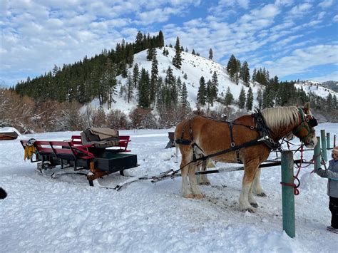 Sleigh ride in the snow | Sleigh ride, Sleigh, Riding