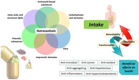 Antioxidants Free Full Text Nutraceuticals Focus On Anti