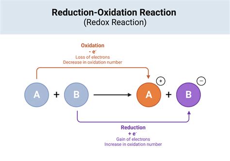 Reduction Oxidation Reaction Redox Reaction Biorender Science Templates