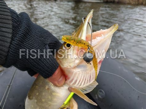 Силіконова приманка Sexy Impact | FISHFISH