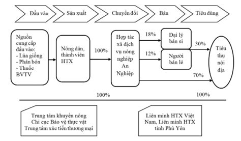 Vai Tr C A H P T C X Trong Chu I Gi Tr N Ng S N H Ng H A V Xu