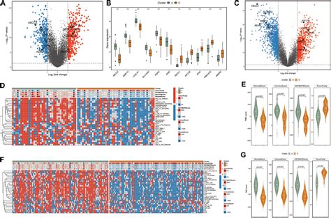 Frontiers Regulatory Pattern Of Abnormal Promoter CpG Island