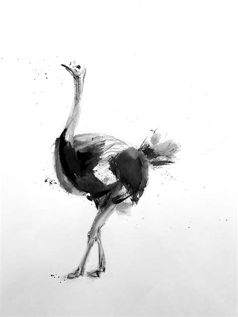 Animal Ink Series On Behance