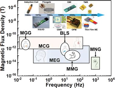 Comparison of different biomagnetic measurements and the level of ...