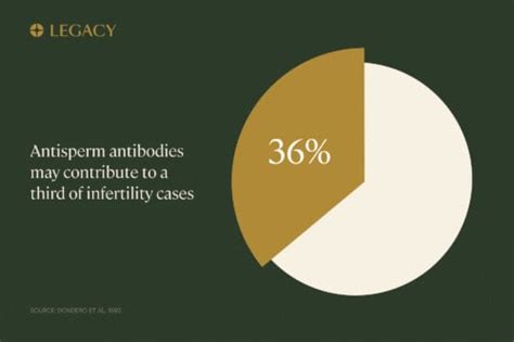 Antisperm antibodies: causes and effects on fertility | Legacy