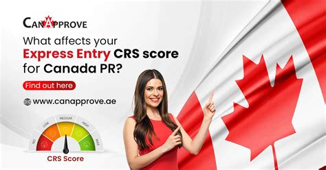 Canada Express Entry Draws Since The Pandemic Analysis