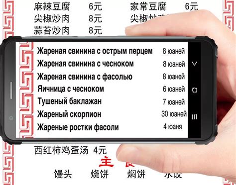 Compass Pro