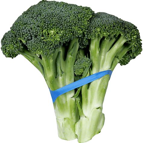 1 Pc Fresh Broccoli Bunch Special The Produce Guyz