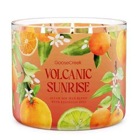 Eruptive Citrus Strawberry Volcano Candle Goose Creek Candles In 2024