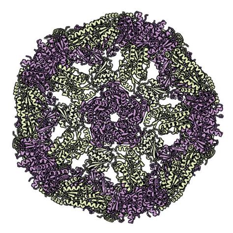 How AI protein structure prediction and design won the Nobel prize ... 