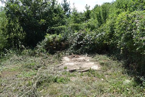 azil 4 | Grad koji volim