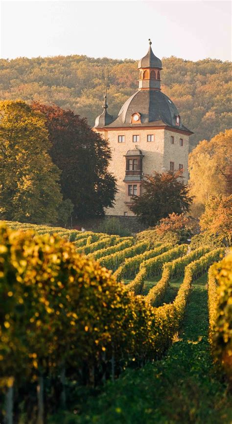 Vdp Vdp Weingut Schloss Vollrads