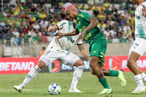 Veja As Fotos Da Partida Entre Cuiab E Palmeiras Pela Rodada Do