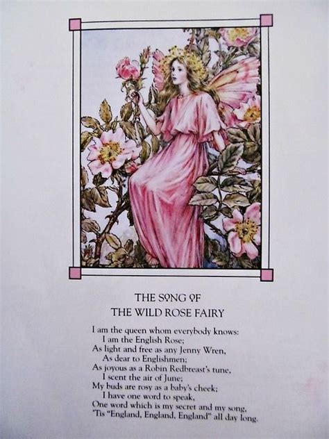 The Song Of The Wild Rose Fairy Taken From “the Complete Book Of The