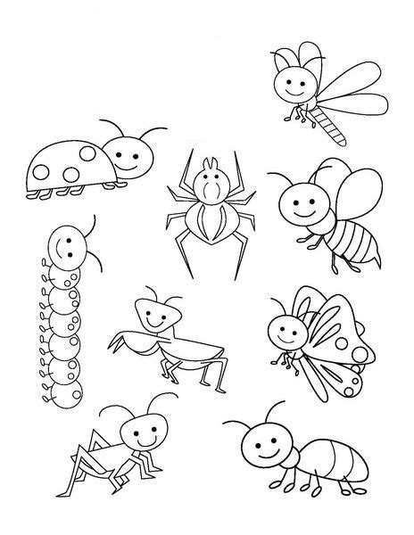 Insects and Bugs Coloring Pages & coloring book.