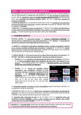 Tema Introduccio A La Genetica Pdf