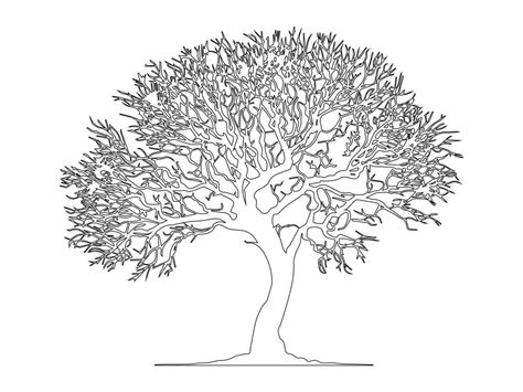 Tree Vector Outline 25561050 Vector Art at Vecteezy