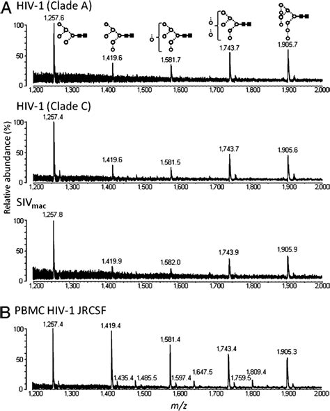 Maldi Tof Ms Analysis Of Released N Linked Glycans From Native Hiv