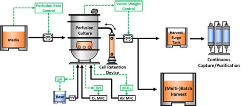 Continuous manufacturing process