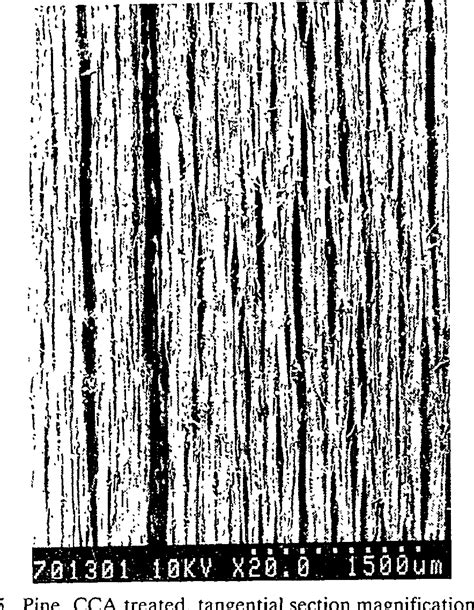 Figure 1 From Structural Weakening Of Cca Treated Timber Semantic Scholar