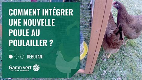 Poulaillers Poulailler Chez Gamm Vert