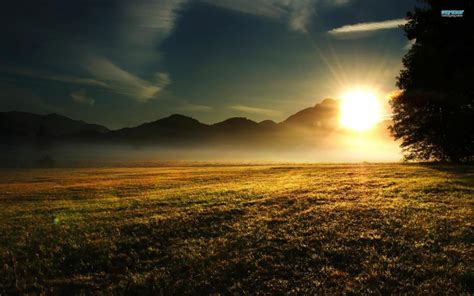 Sunrise Over The Meadow wallpaper | nature and landscape | Wallpaper Better