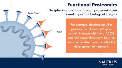 What Is Functional Proteomics Nautilus Biotechnology