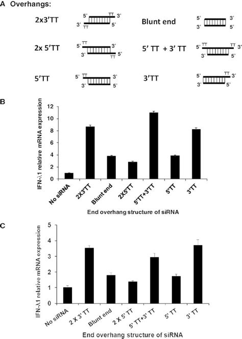 siRNA enhances DNA-mediated interferon lambda-1 response through ... 
